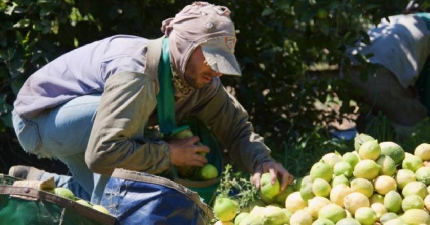 UATRE acordó un 47% de aumento para los trabajadores del citrus y llegó al 102% anual acumulado