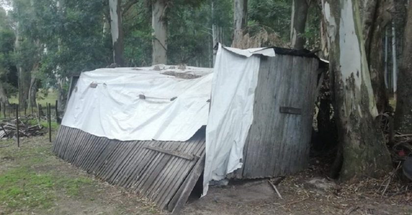 Detienen a ex-funcionario de DDHH de Macri: tenía cinco trabajadores esclavizados