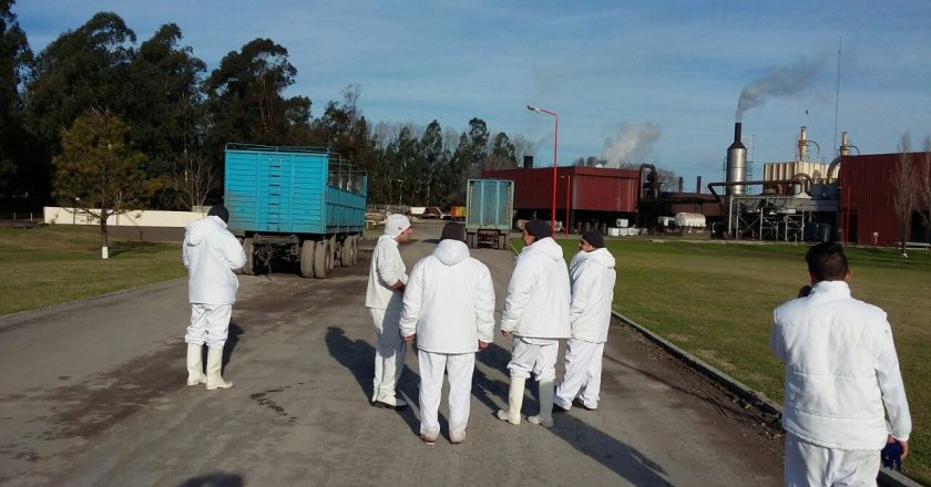 Hay contagios en Granja Tres Arroyos y culpan al intendente PRO, Iguacel, por desobedecer la cuarentena