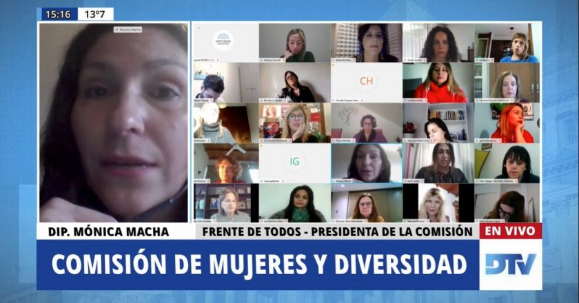 Diputados abrió el debate para estipular el cupo laboral trans y travesti en el Estado