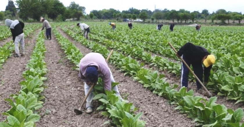 #LosMismosDeSiempre Empresarios del agro accionan para no pagar bono a trabajadores rurales de 50 mil pesos