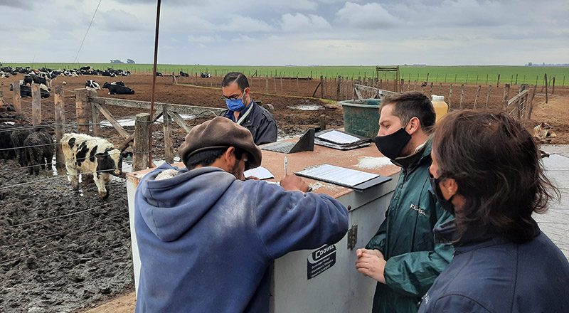 Trabajo esclavo: rescataron a un tambero que vivió 20 años en condiciones infrahumanas