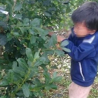 La CGT advierte que «erradicar el trabajo infantil exige más Estado» y critica al Presidente por recomendar un libro que justifica la explotación de niños