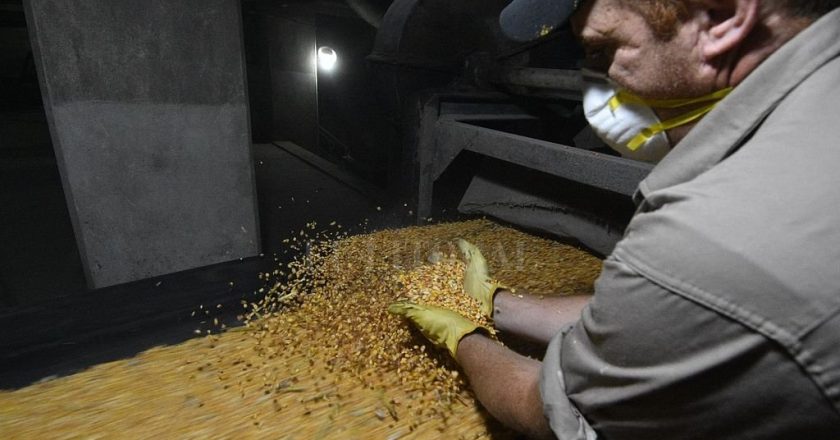 Los recibidores de granos se cansaron de las dilaciones paritarias y paralizan un sector clave para el ingreso de divisas