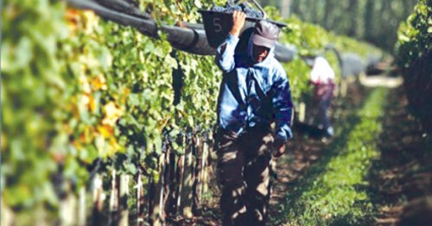 Aumenta el monto de la asistencia en el marco del Programa Intercosecha