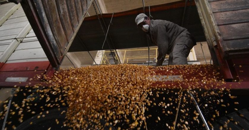 Recibidores de granos firmaron $15 mil a cuenta de la paritaria y levantaron las huelgas que ponían en jaque el ingreso de divisas