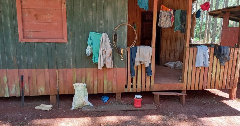 Explotación laboral en un establecimiento forestal en Misiones