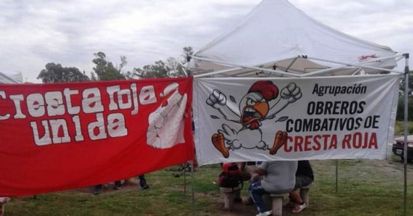 Trabajadores despedidos de Cresta Roja acampan en Plaza de Mayo