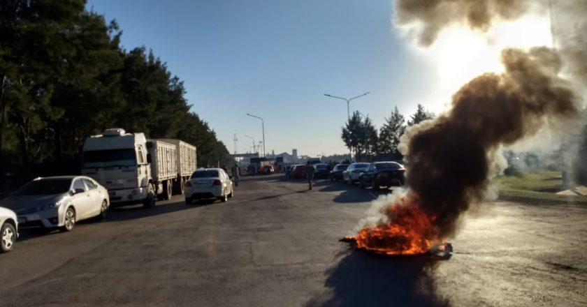 Aceiteros y Recibidores de Granos vuelven a paralizar la industria aceitera y la exportación de granos